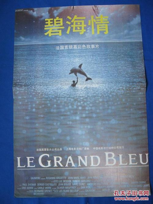 科隆媒体艺术学院国际商务文凭证书